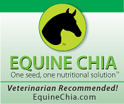 Equine_chia_square_banner_180x150