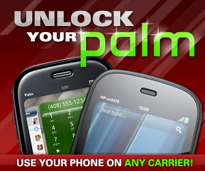 Palm-300x250-red